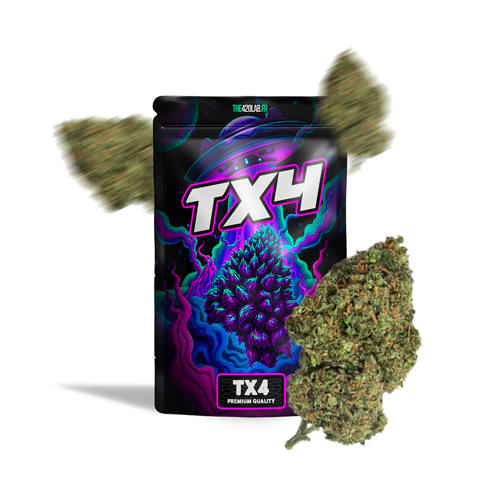 GELATO OG TX-4