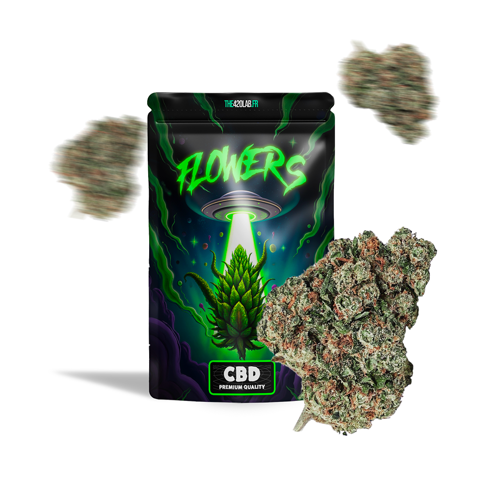 L.A CALI (CALIFORNIA GENETICS)