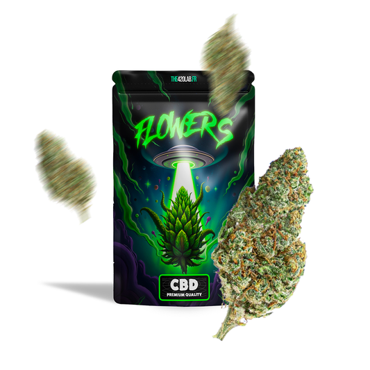 AMNESIA KUSH