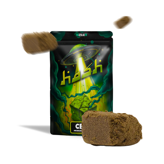 CRITICAL HAZE