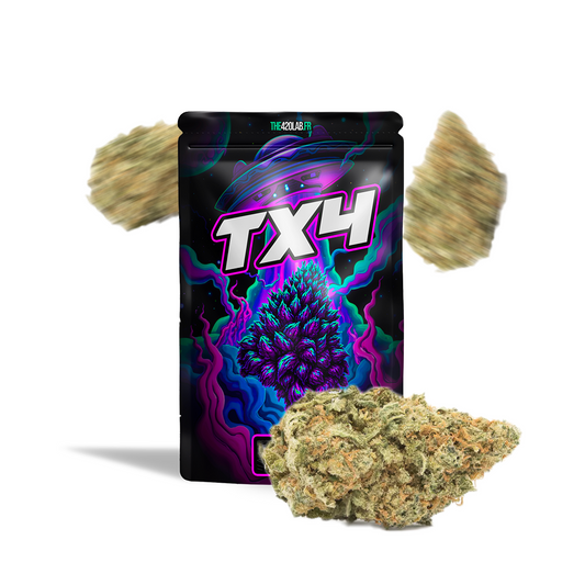 GIRL SCOOT COOKIES TX-4